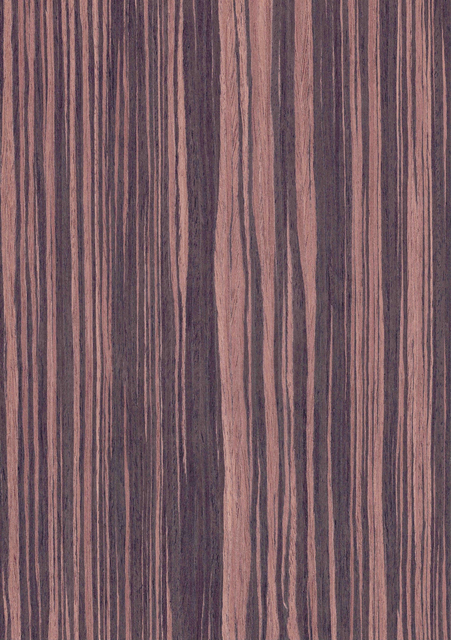 木板 5ea831f1df43e40feabb655eb6a9aa