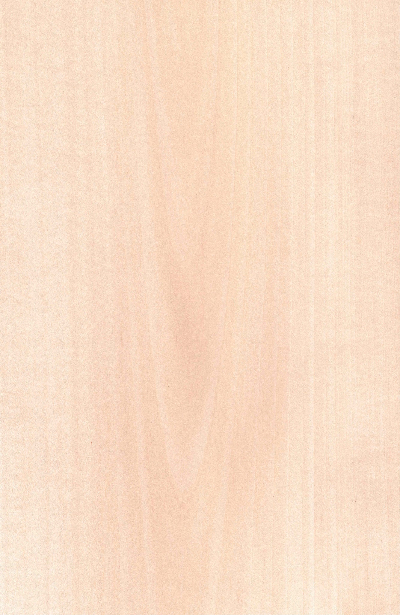 天然木ツキ板シート シナA4 | 高品質木材シート | 森工芸 – MORIKOUGEI