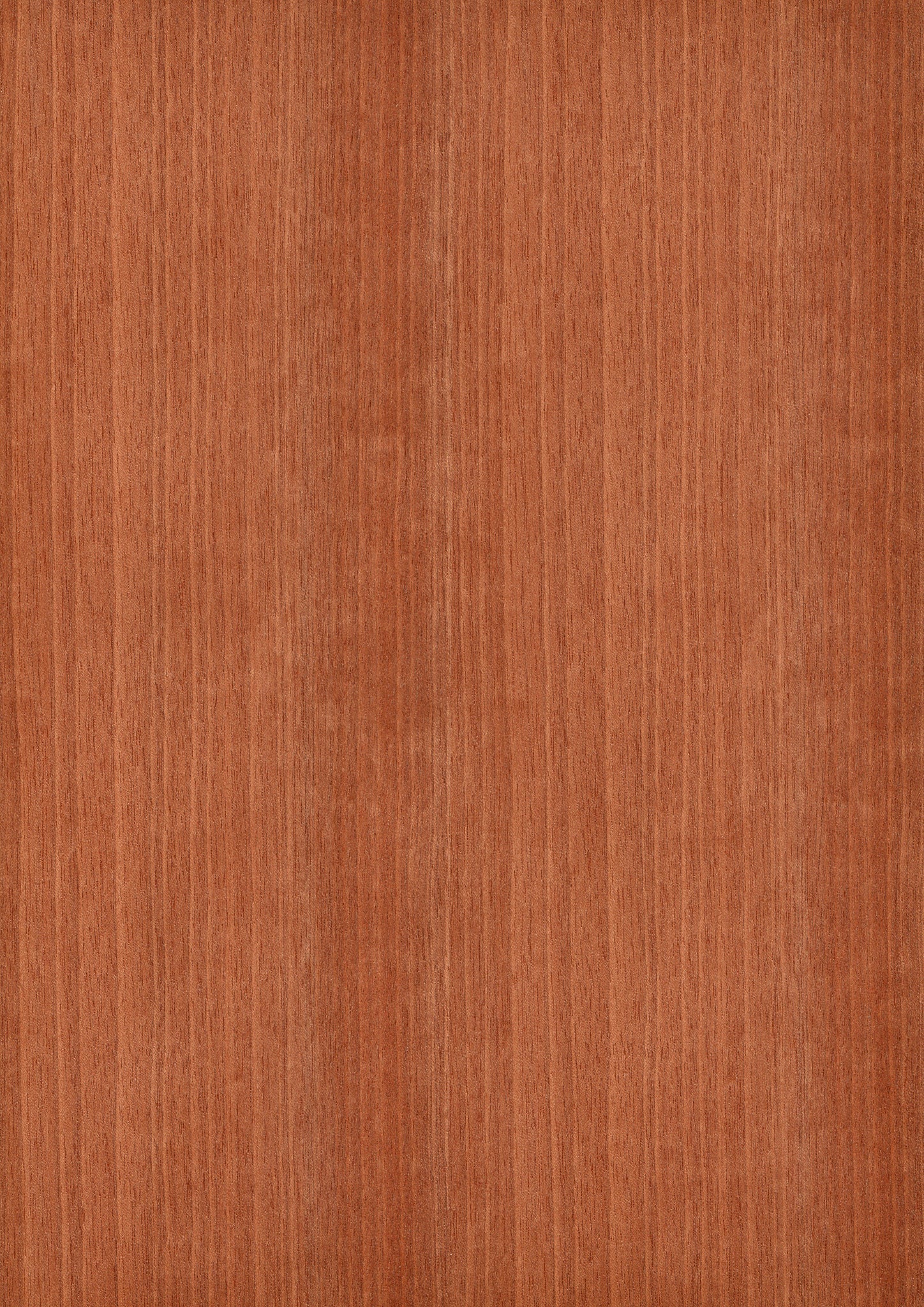 WOOD VENEER SHEET Moabi 900mm×1800mm – MORIKOUGEI ONLINE STORE