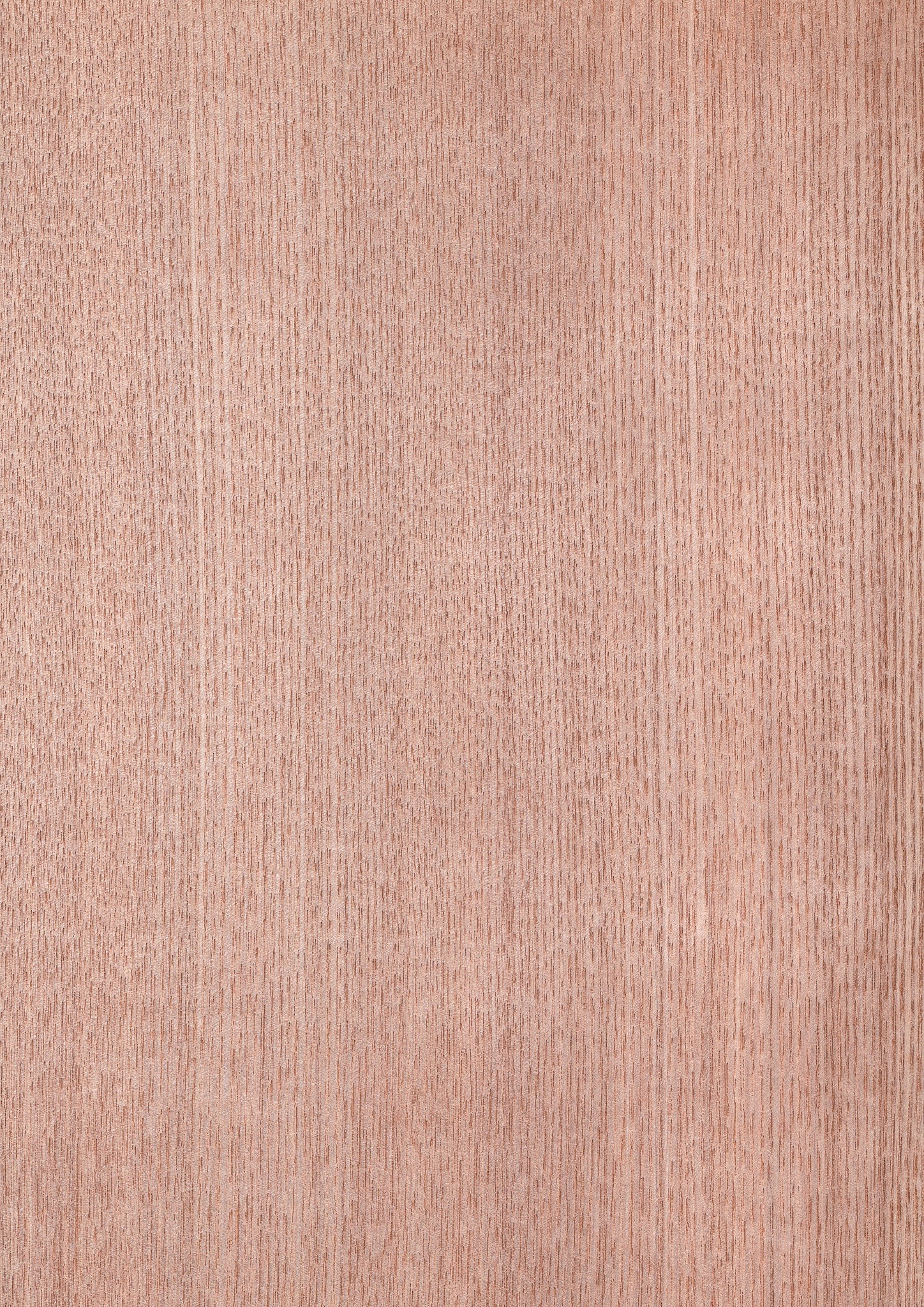天然木ツキ板シート タモ 薄色系 900mm×1800mm – MORIKOUGEI ONLINE STORE