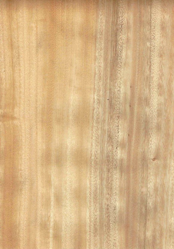 天然木ツキ板シート クス 茶色系 900mm×1800mm – MORIKOUGEI ONLINE STORE
