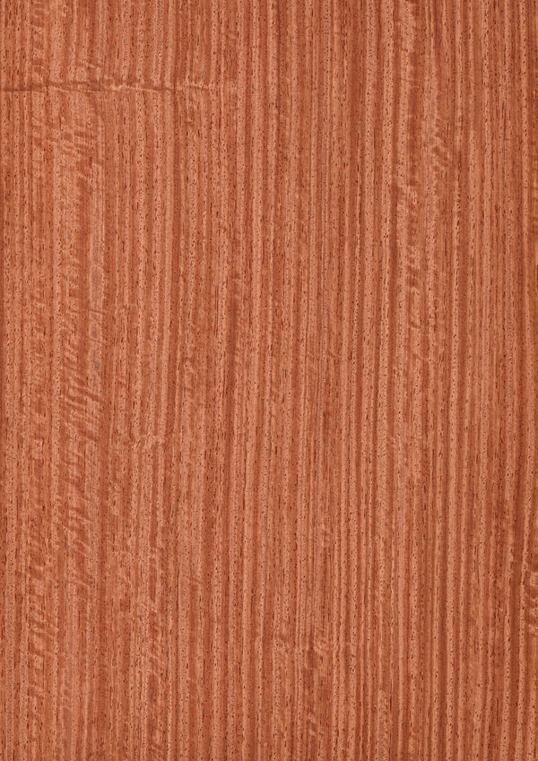 天然木ツキ板シート　カリン　赤色系 - MORIKOUGEI ONLINE STORE