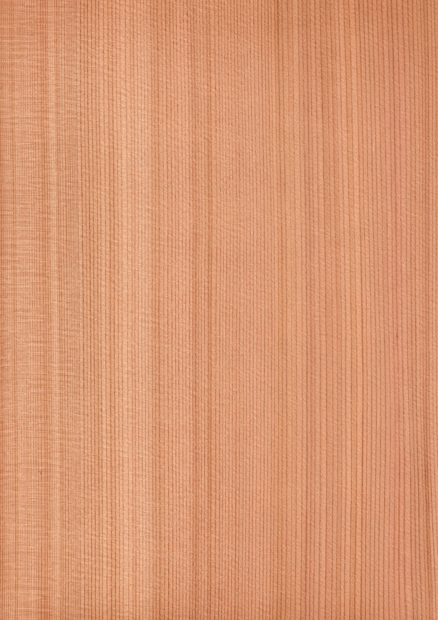 天然木ツキ板シート スギA4 | 高品質木材シート | 森工芸 – MORIKOUGEI
