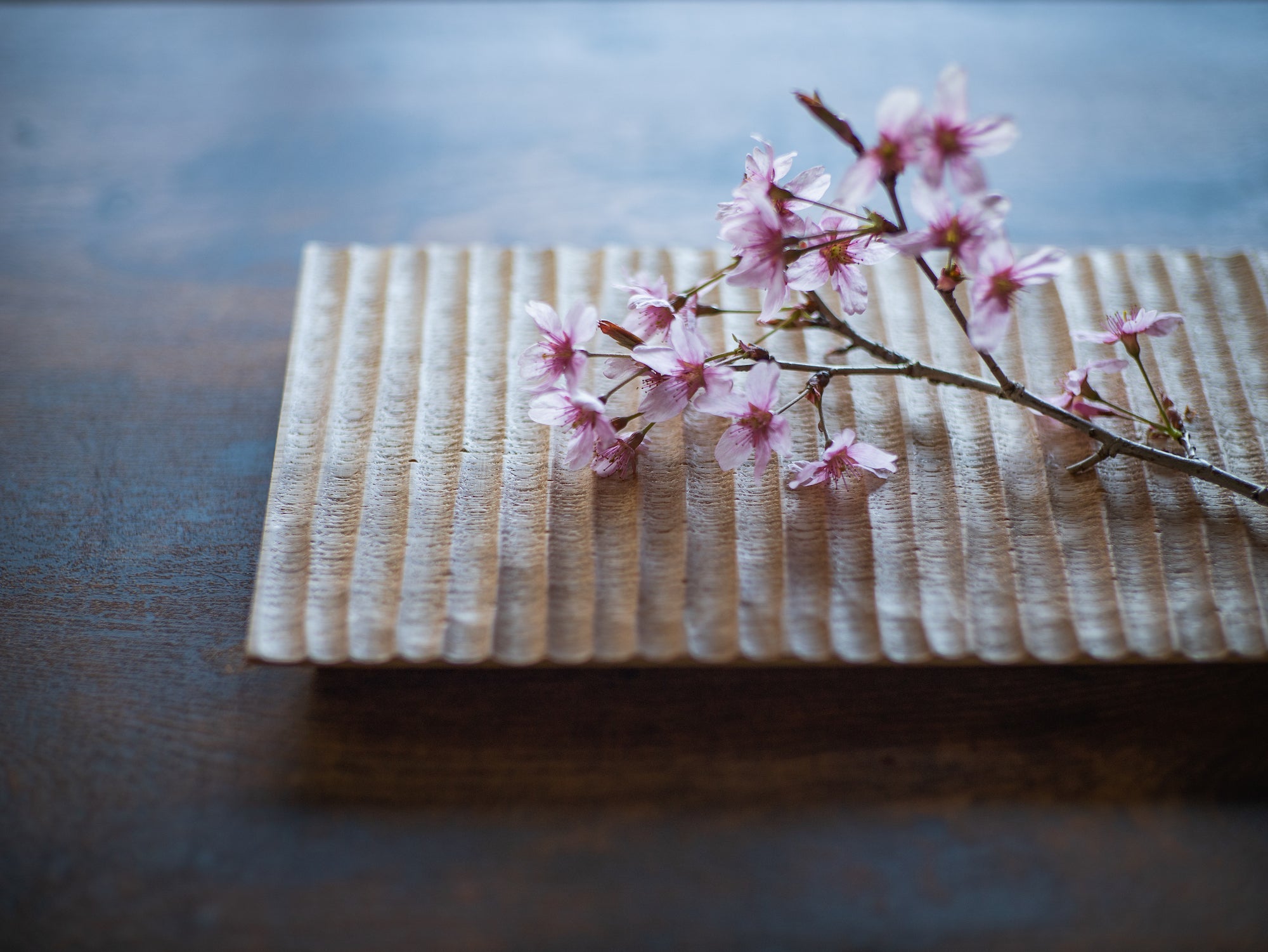 TSUKI-JIRI WOOD PLATE - MORIKOUGEI ONLINE STORE