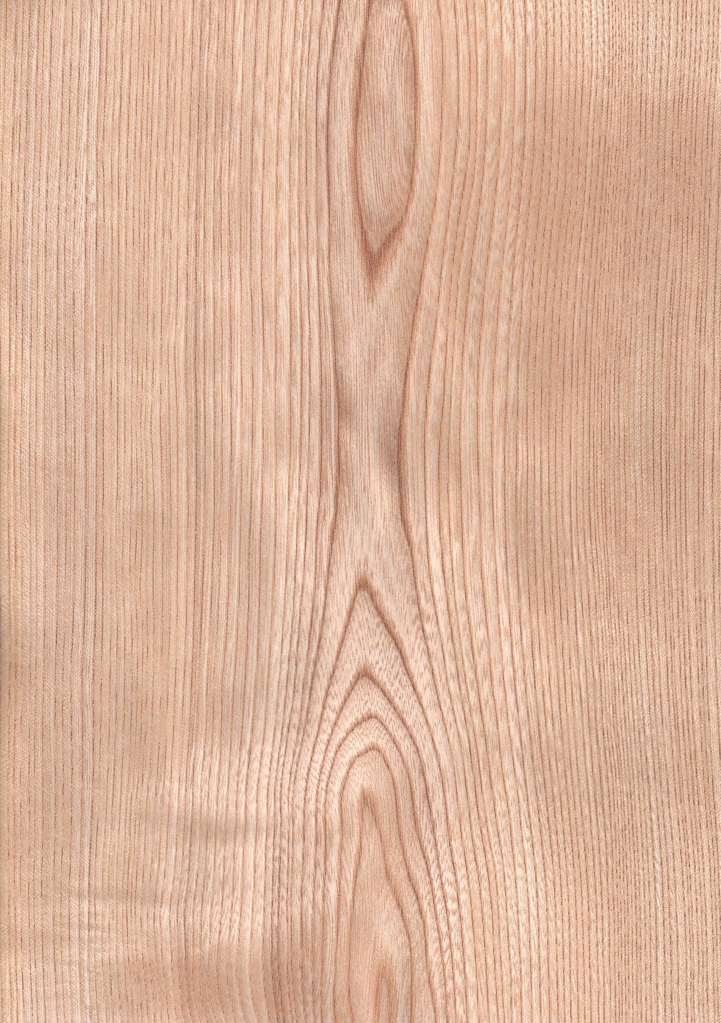 wood veneer sheet castor aralia light color