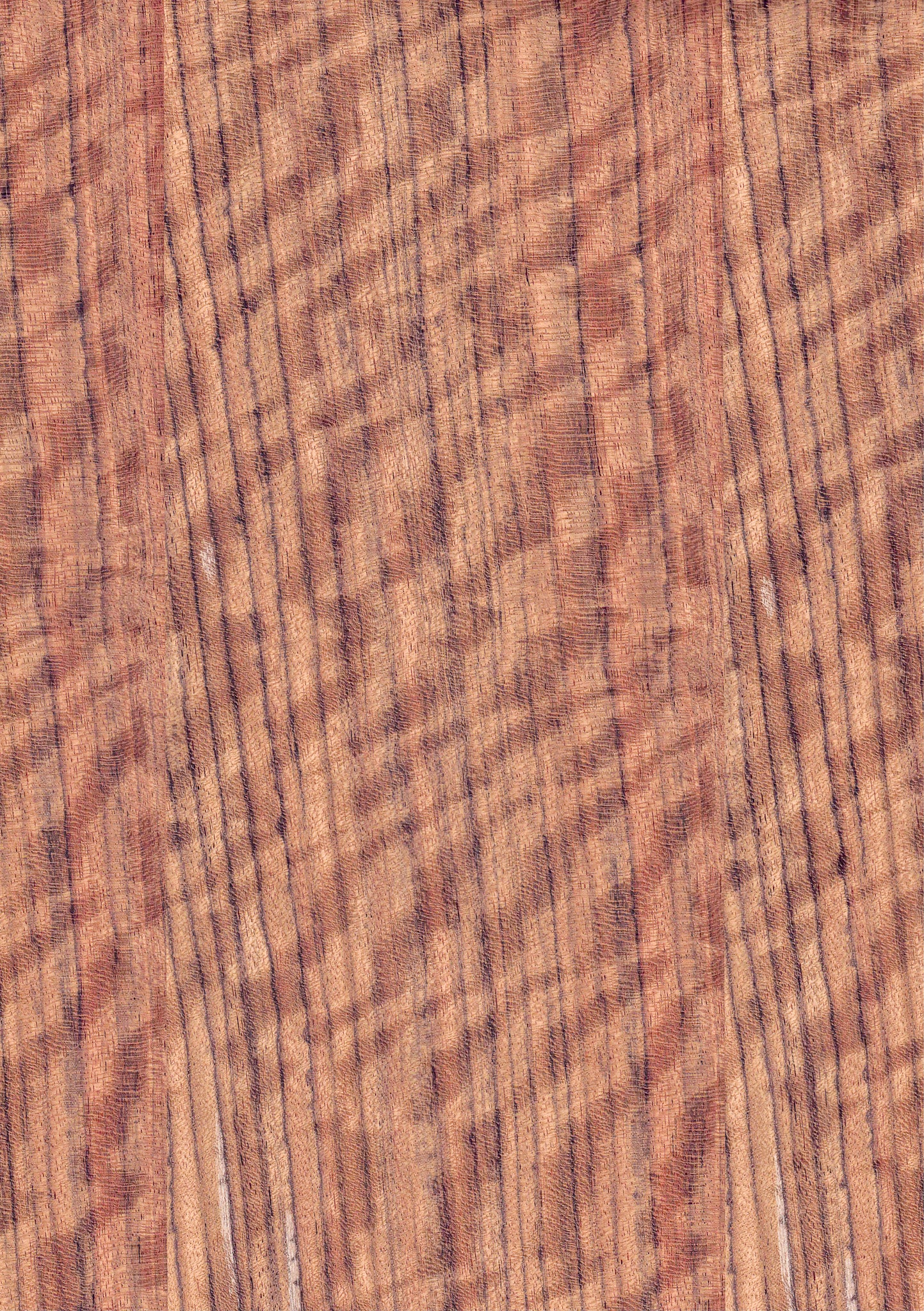 Wood veneer sheet Curry maple  Brown