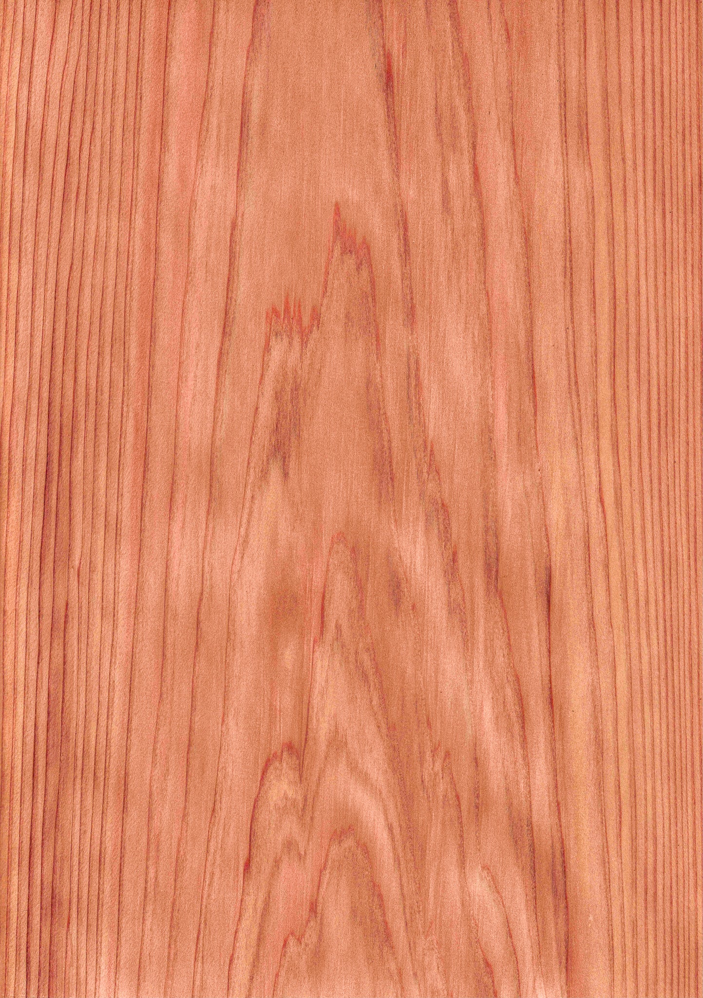 wood veneer sheet 　Japanese cedar　Red