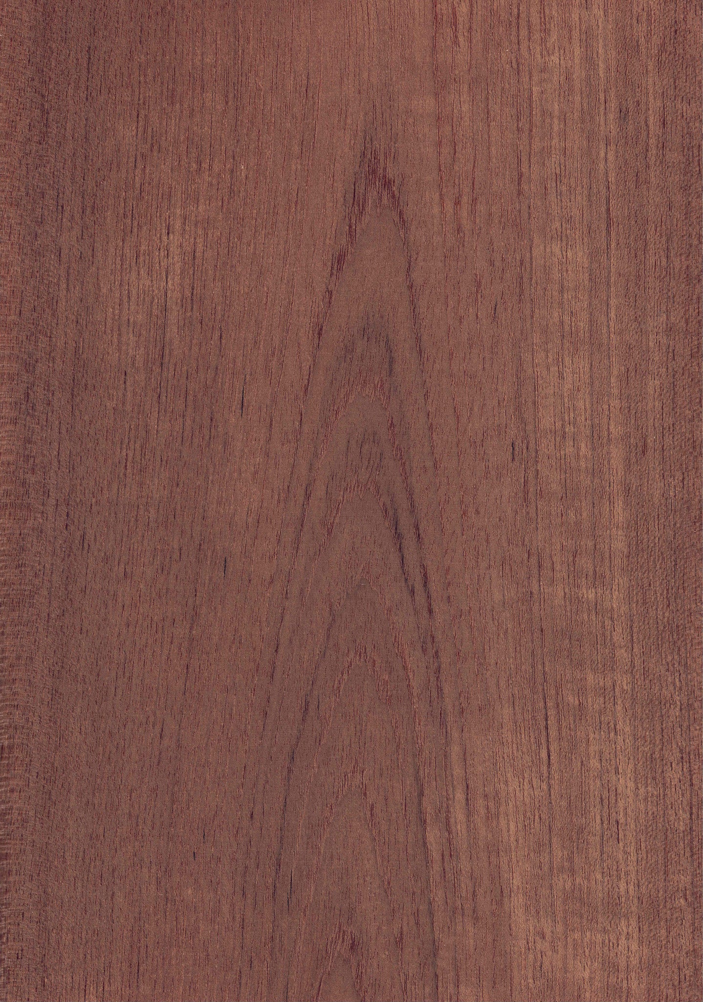 wood veneer sheet teak Brown