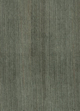Jindai Elm Natural Wood Veneer Sheet (A4 Size)