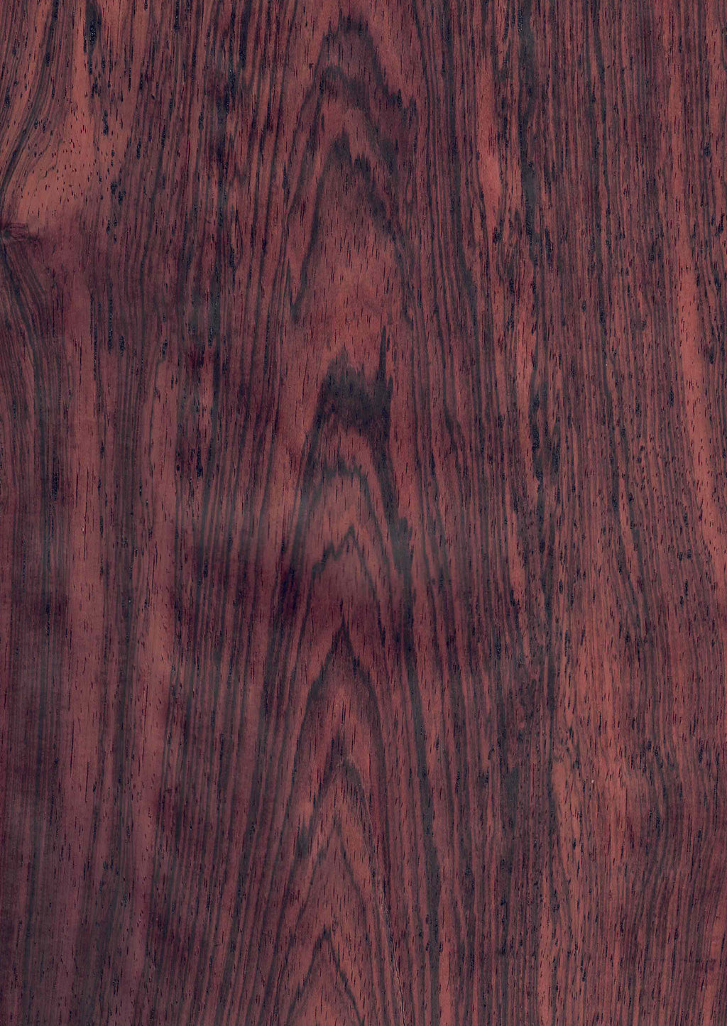 天然木天板 天然木ツキ板シート ブラジリアンローズウッド 濃色系 A4 210mm