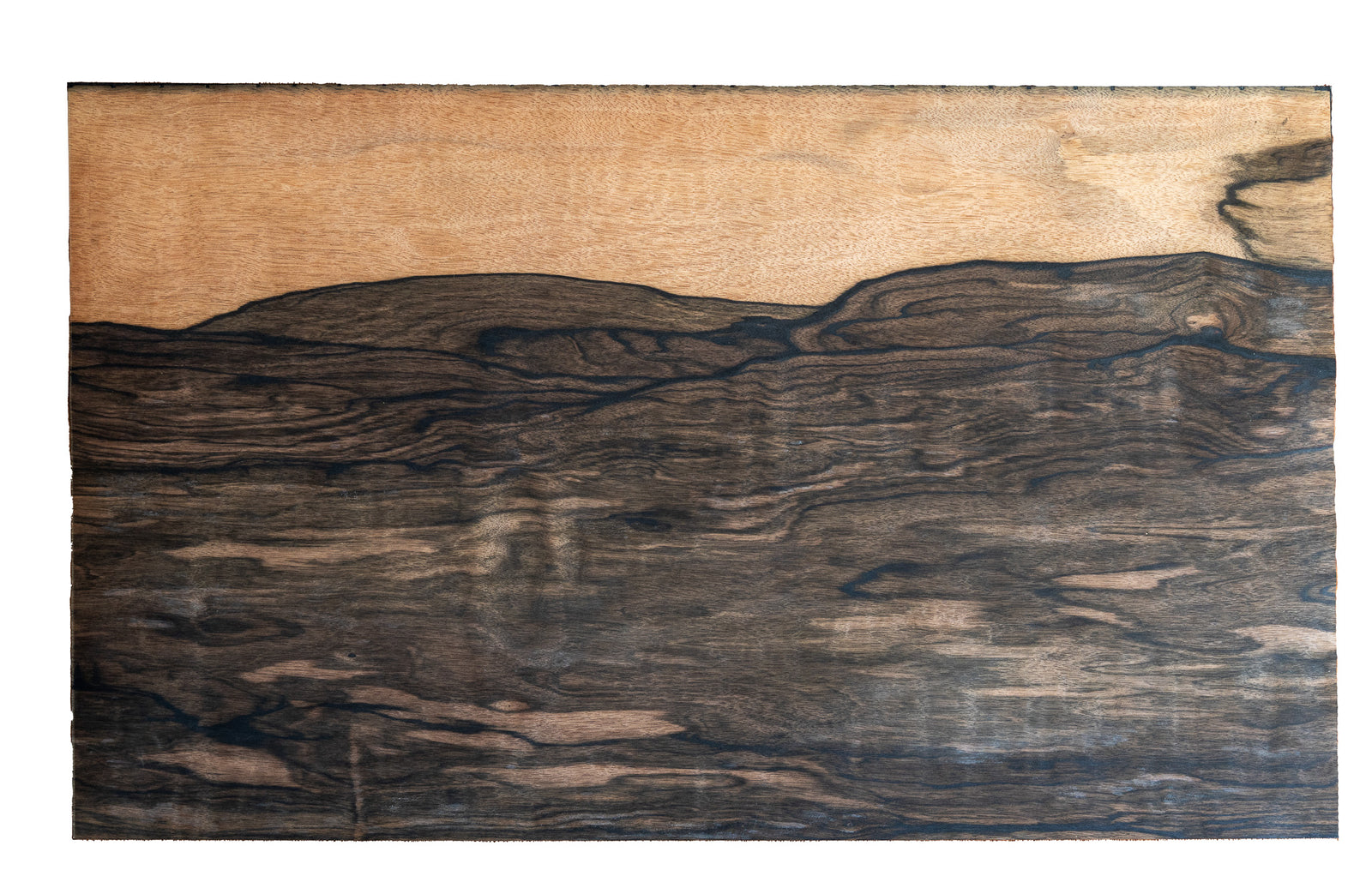 黒檀 楽天市場】【アウトレット品】わけあり 黒檀（縞黒檀） 板材 450×5