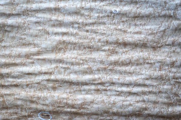 天然木ツキ板シート 　バーズアイメープル　個別サイズ1550mm×410mm