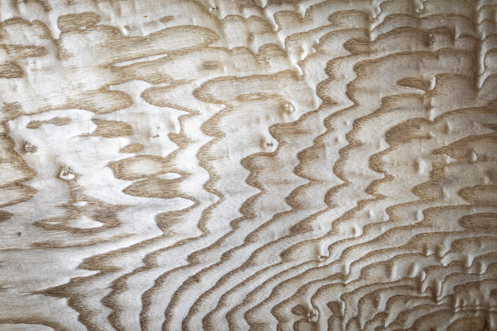 天然木ツキ板シート シオジ杢目 個別サイズ980mm×350mm – MORIKOUGEI