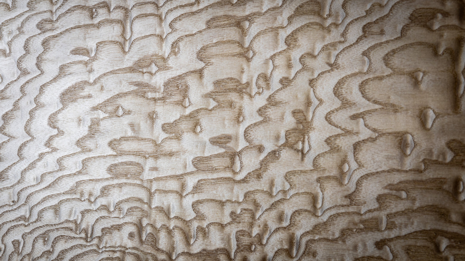 天然木ツキ板シート シオジ杢目 個別サイズ980mm×350mm – MORIKOUGEI