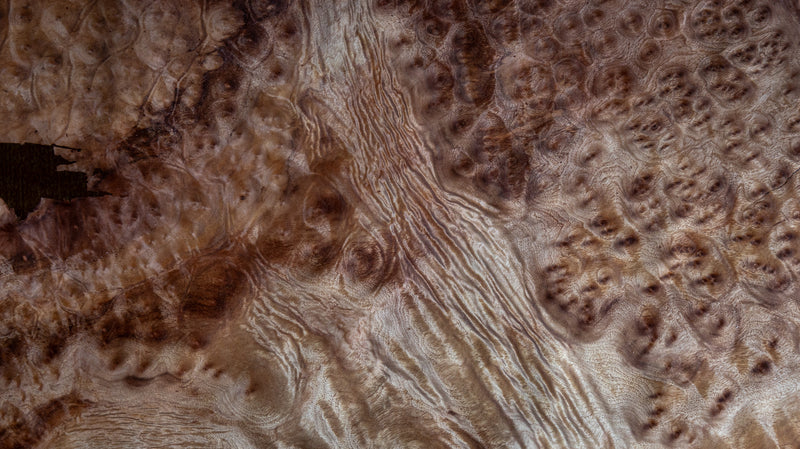 WOOD VENEER SHEET CAMPHOR BURL WOOD　Individual Size1060mm×440mm　