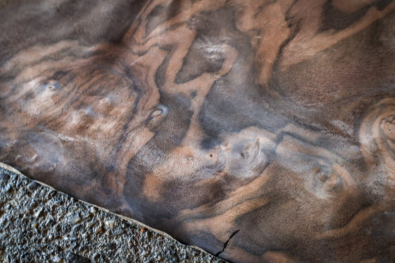 天然木ツキ板シート 　クラロウォールナット　個別サイズ330x900