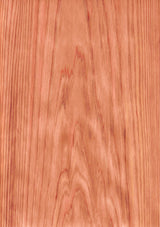 天然木ツキ板シート スギ 赤色系 A4 210mm×297mm - MORIKOUGEI ONLINE STORE