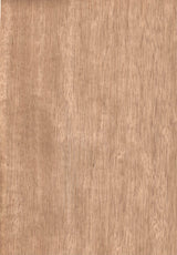 天然木ツキ板シート　リンパ　A4 210mm×297mm - MORIKOUGEI ONLINE STORE