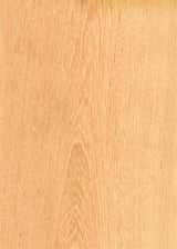 天然木ツキ板シート　シロタガヤ　A4 210mm×297mm - MORIKOUGEI ONLINE STORE