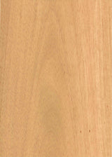 天然木ツキ板シート　ドリームナット　A4 210mm×297mm - MORIKOUGEI ONLINE STORE