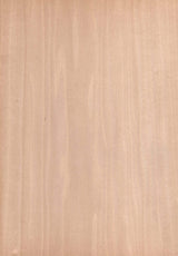 天然木ツキ板シート　ホワイトウッド　A4 210mm×297mm - MORIKOUGEI ONLINE STORE