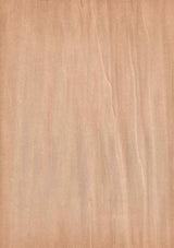 天然木ツキ板シート　ポプラ　　A4 210mm×297mm - MORIKOUGEI ONLINE STORE