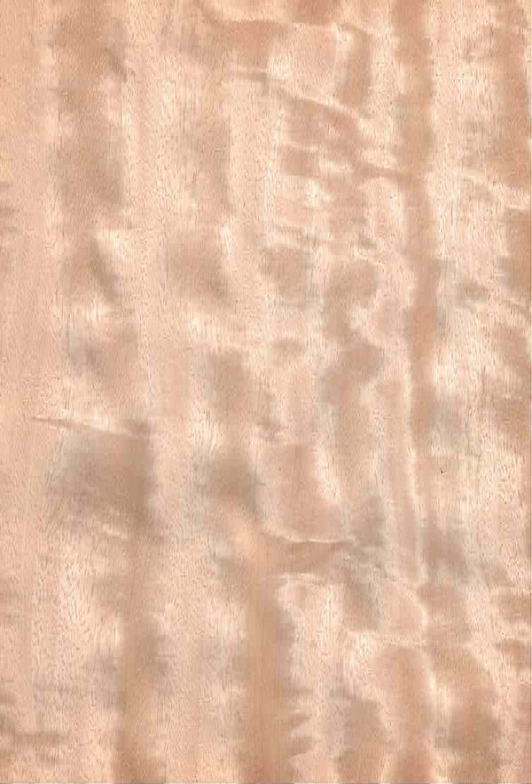 天然木ツキ板シート　モビンギ　薄色系　A4 210mm×297mm