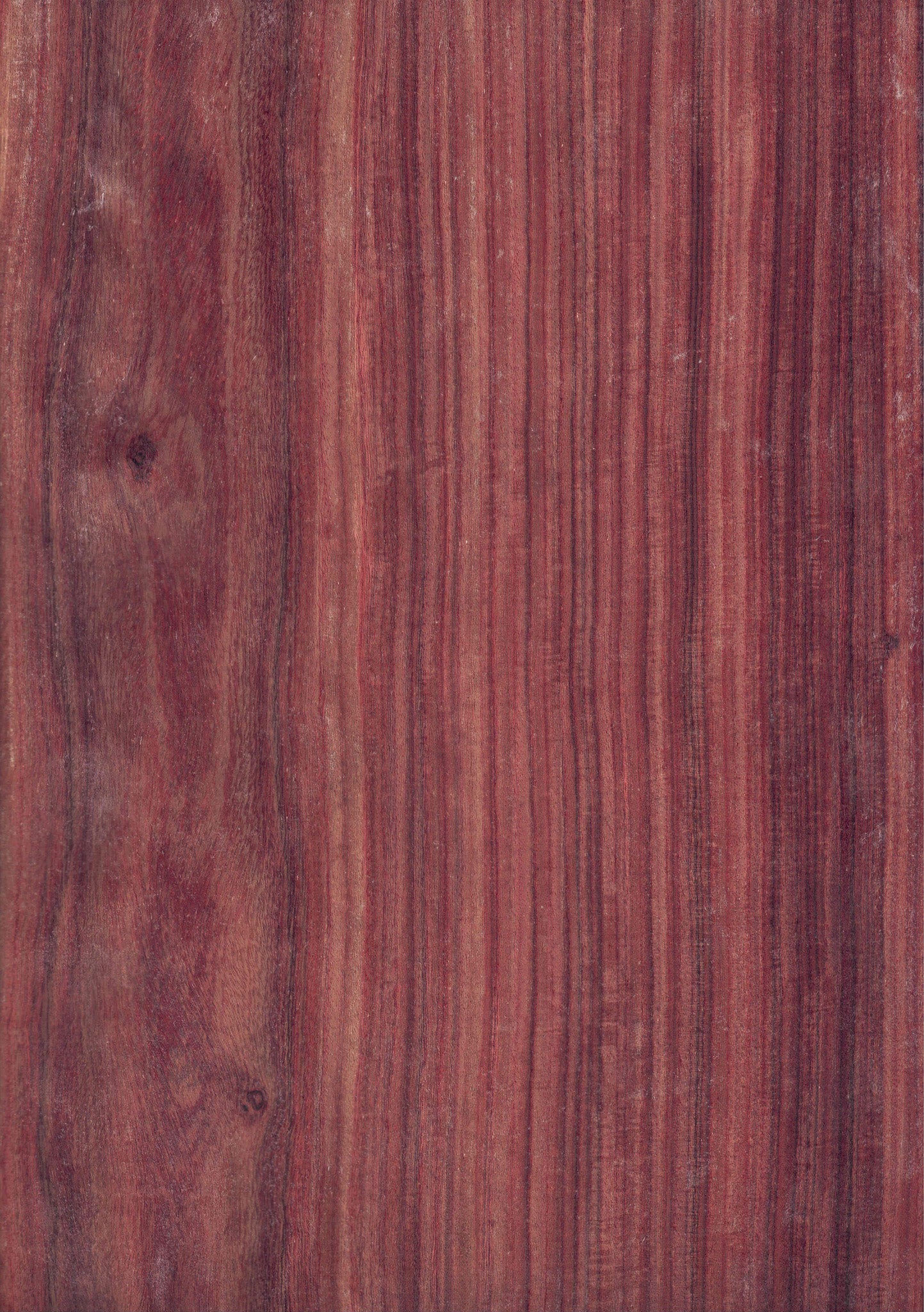 Wood veneer sheet  pan rosa Red