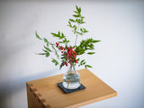 TSUKI - JIRI Petite Plate 8×100×100mm - MORIKOUGEI ONLINE STORE