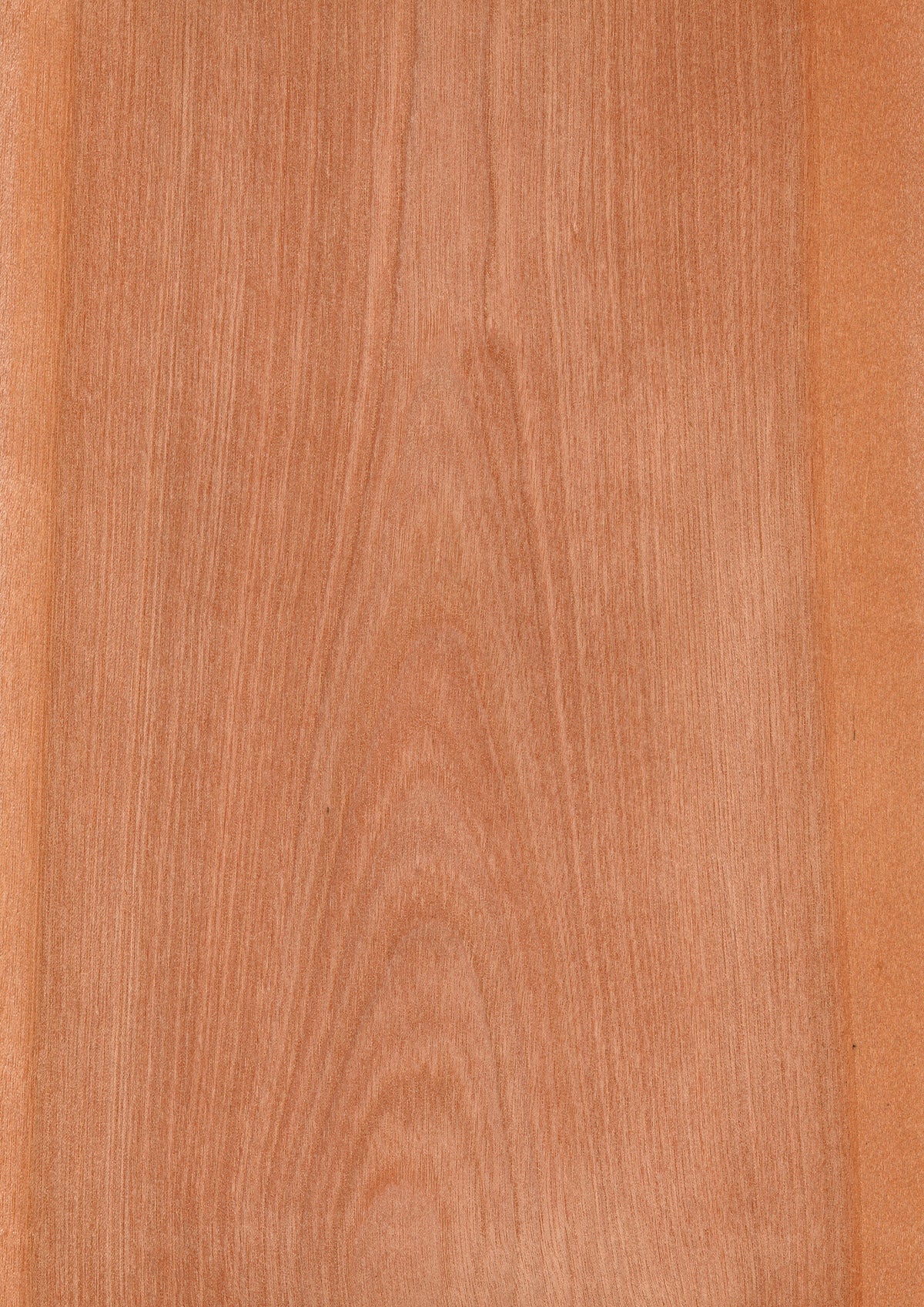 A4サイズ 天然木ツキ板シート｜クラフト・DIY用素材 – MORIKOUGEI