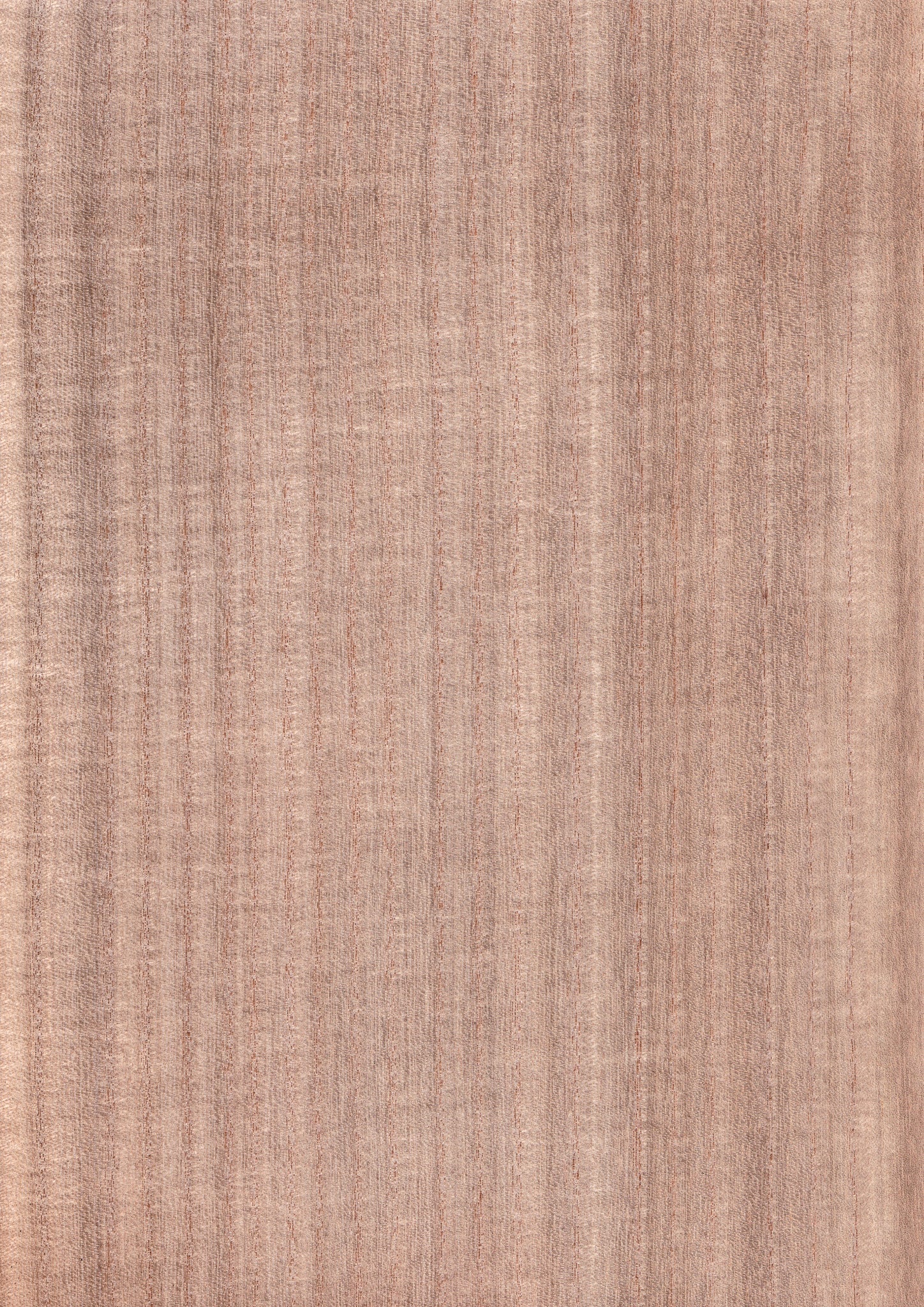 WOOD VENEER SHEET paulownia 900mm×1800mm – MORIKOUGEI ONLINE STORE