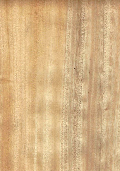 900mm1800mm-435278_400x.jpg?v=