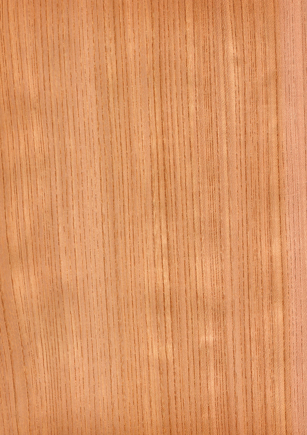 900mm1800mm-632848_1024x.jpg?v