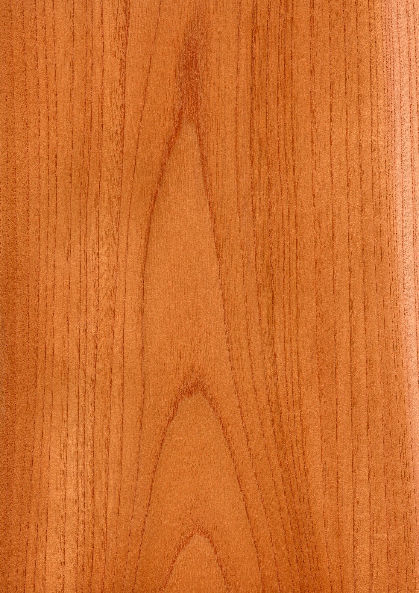 自然木 葡萄木 敷き板 時代物(K-A716) 自然木 葡萄木 敷き板 時代物(K