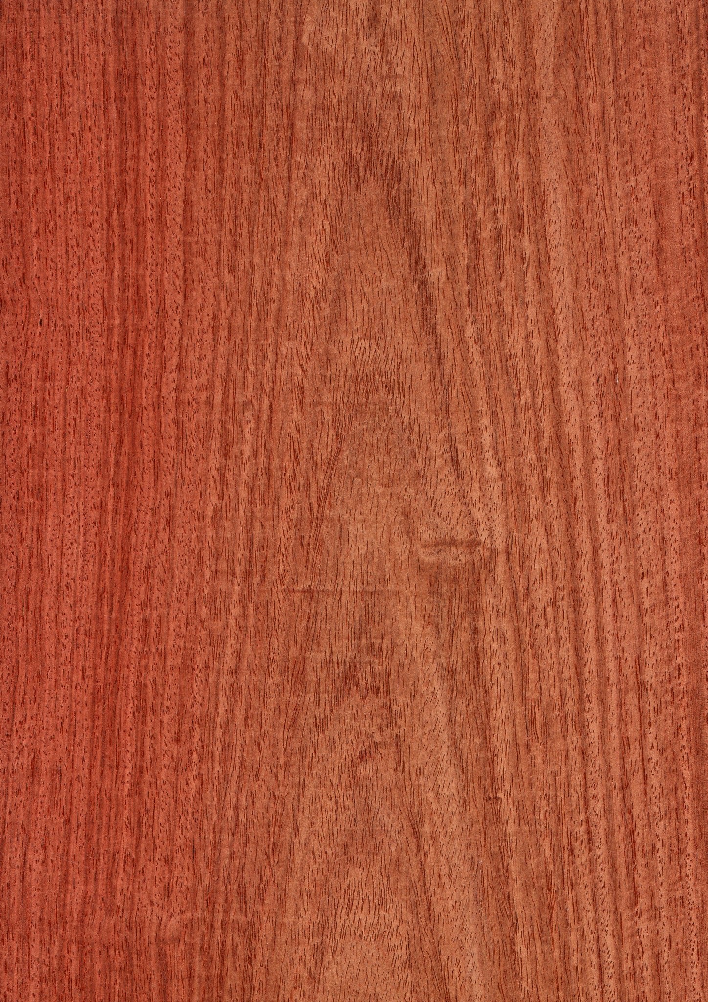 900mm1800mm-922215.jpg?v=