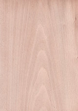 天然木ツキ板シート　ブナ　薄色系 - MORIKOUGEI ONLINE STORE