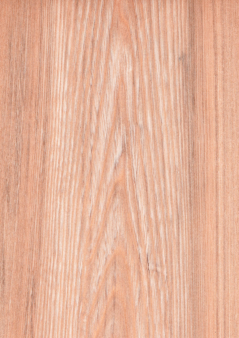 天然木ツキ板シート　セン　薄色系 - MORIKOUGEI ONLINE STORE