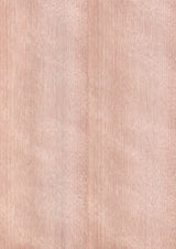 天然木ツキ板シート　ホワイトバーチ　薄色系 - MORIKOUGEI ONLINE STORE