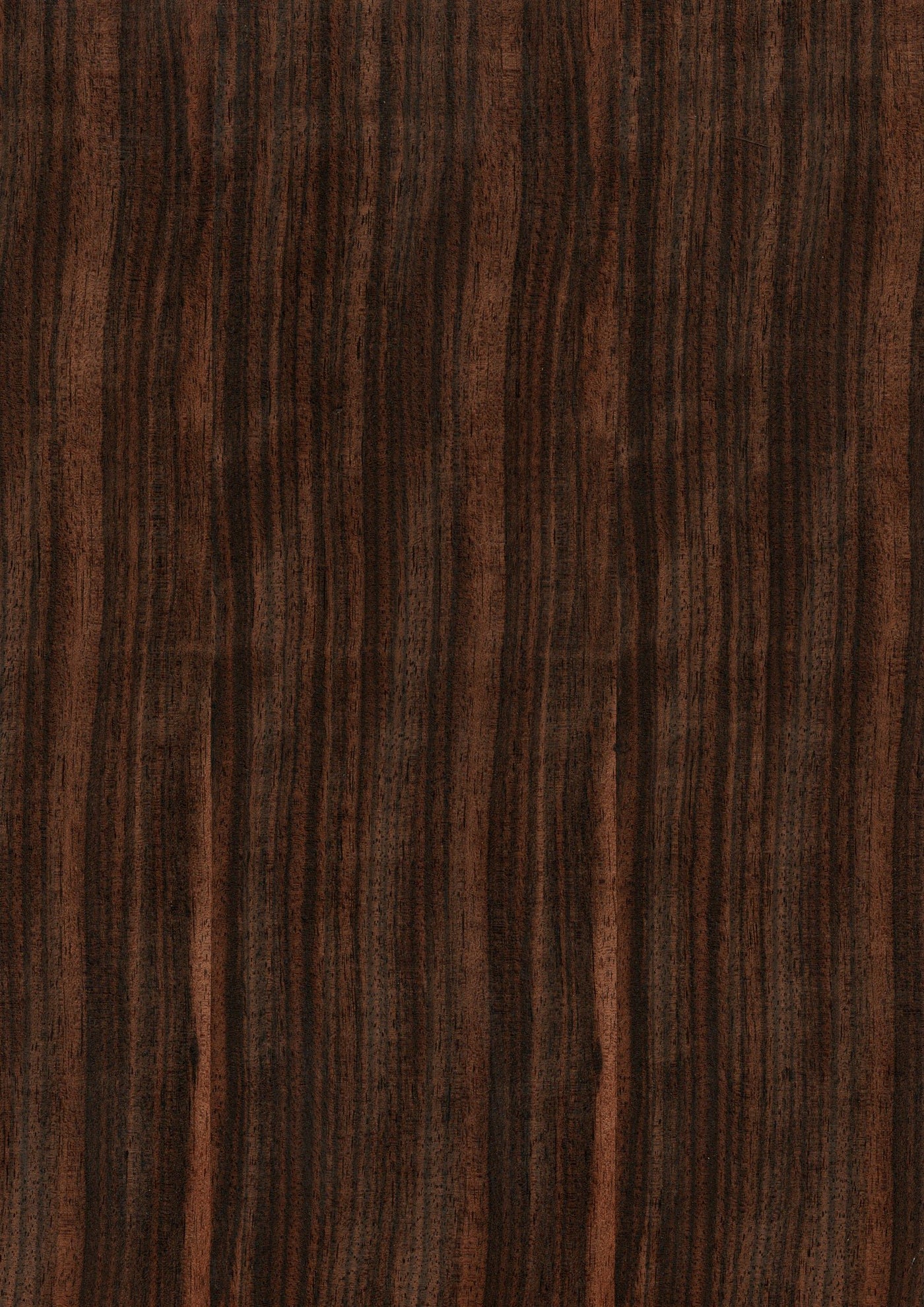 天然木ツキ板シート コクタンA4 | 高品質木材シート | 森工芸