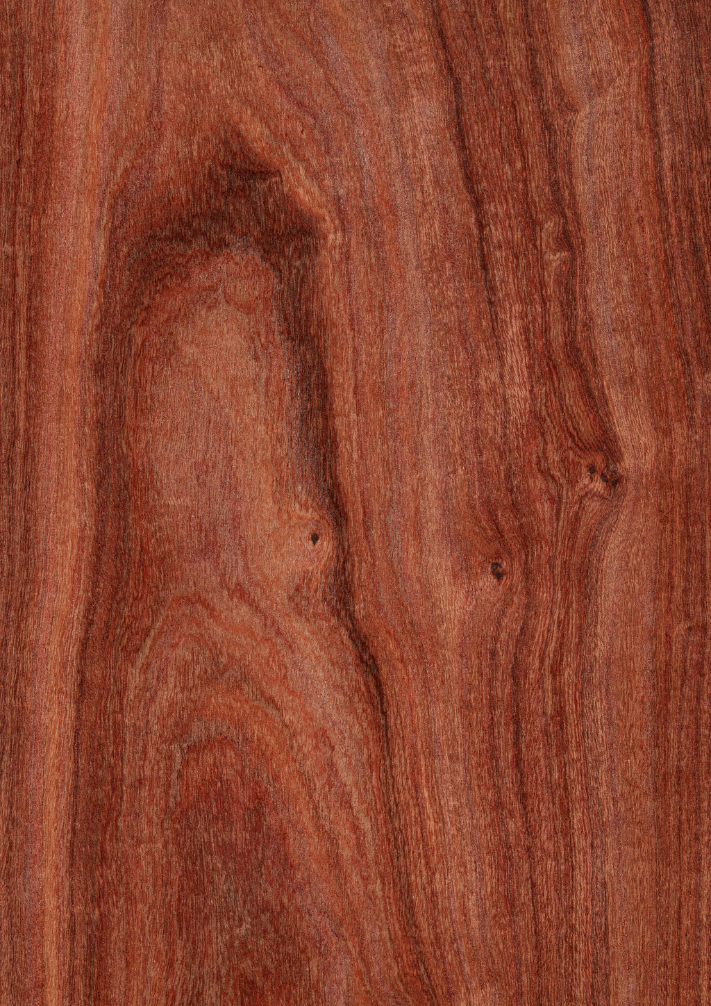 product-345625_1024x.jpg?v=