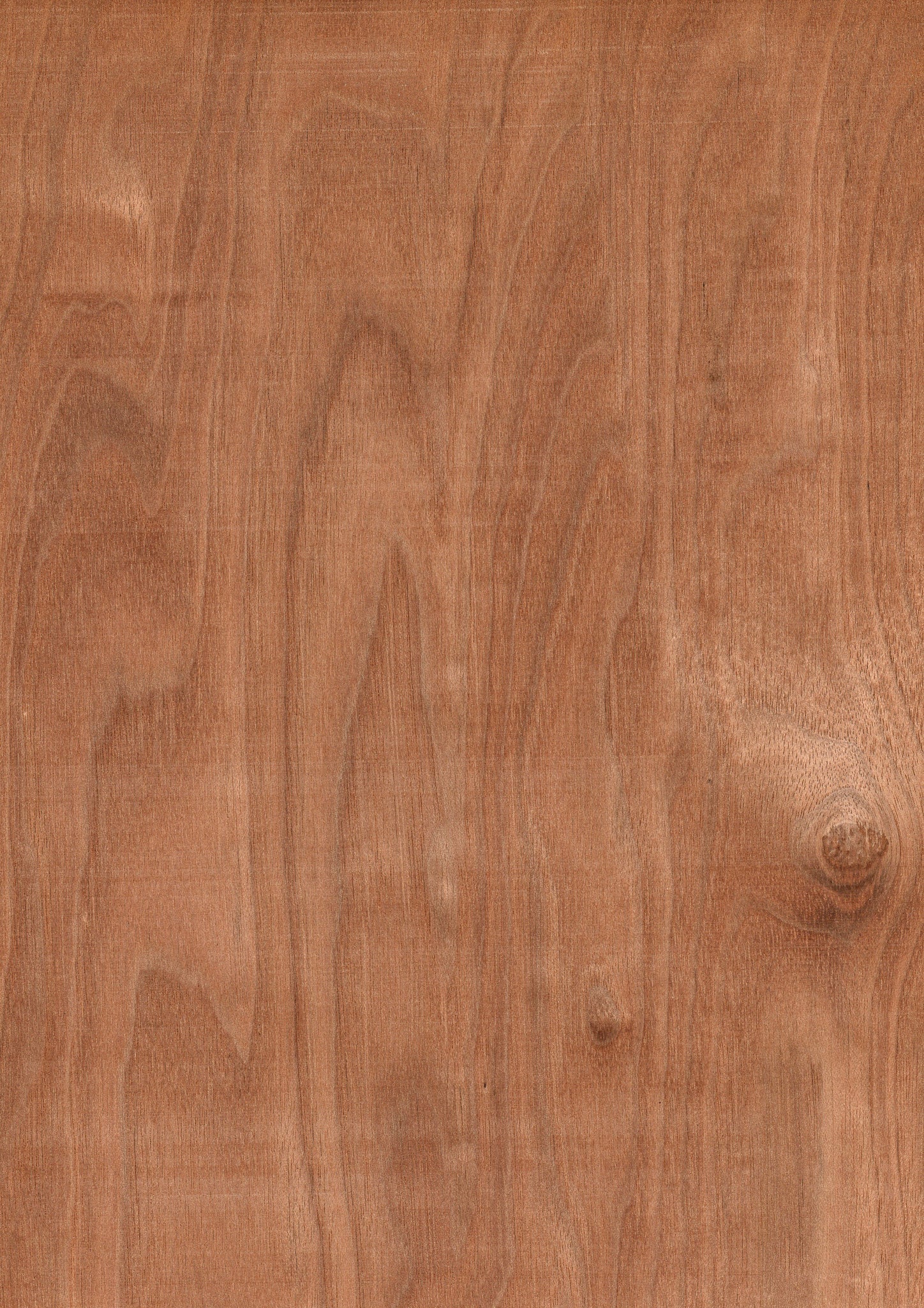 product-625326.jpg?v=1660772752