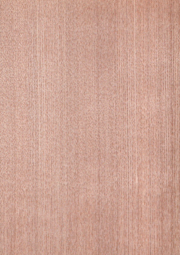天然木ツキ板シート　タモ　薄色系 - MORIKOUGEI ONLINE STORE
