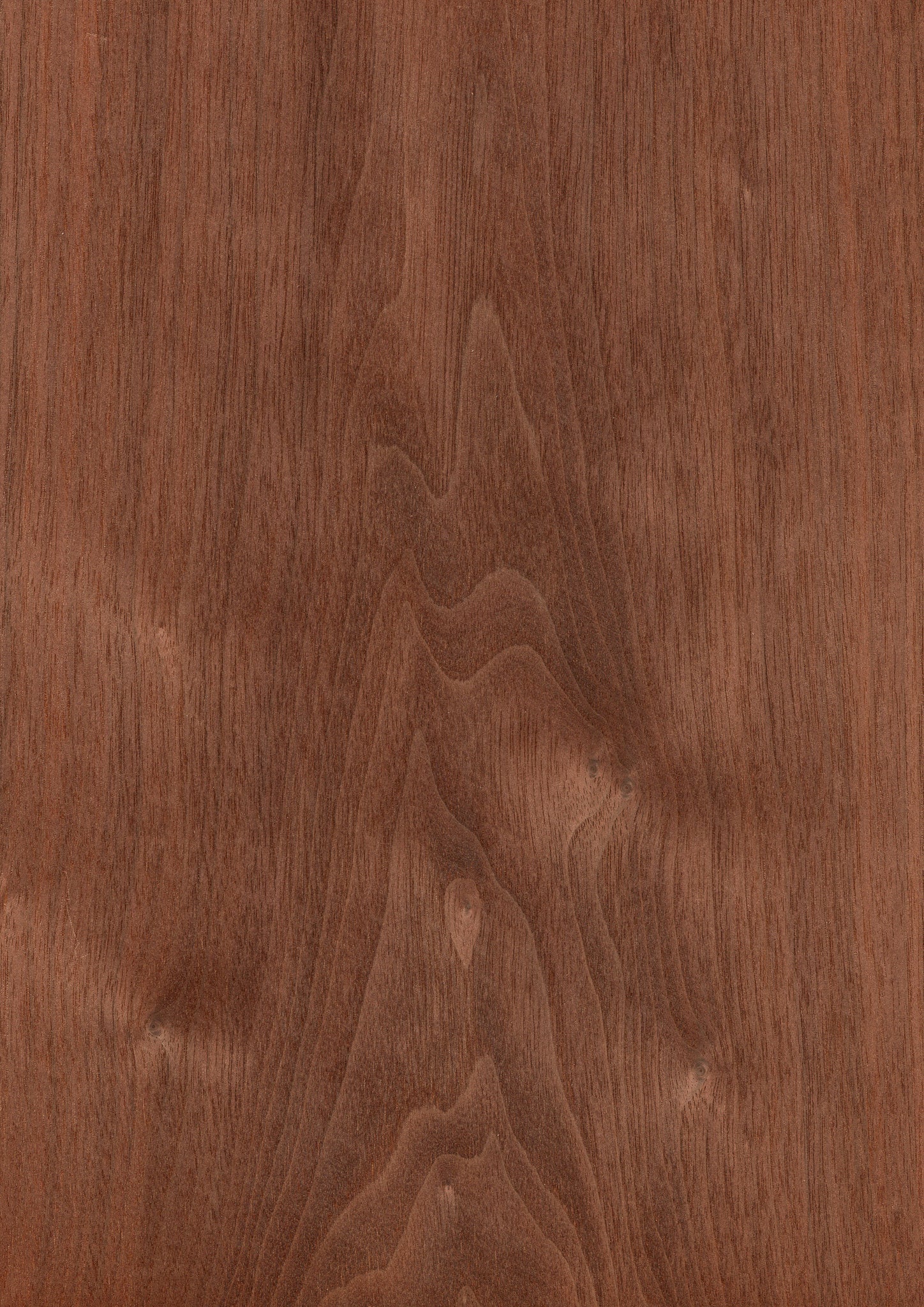 product-840493.jpg?v=1757727091