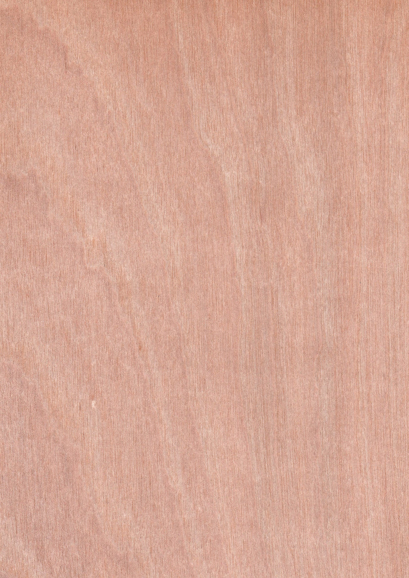 天然木ツキ板シート　ホワイトバーチ　薄色系 - MORIKOUGEI ONLINE STORE