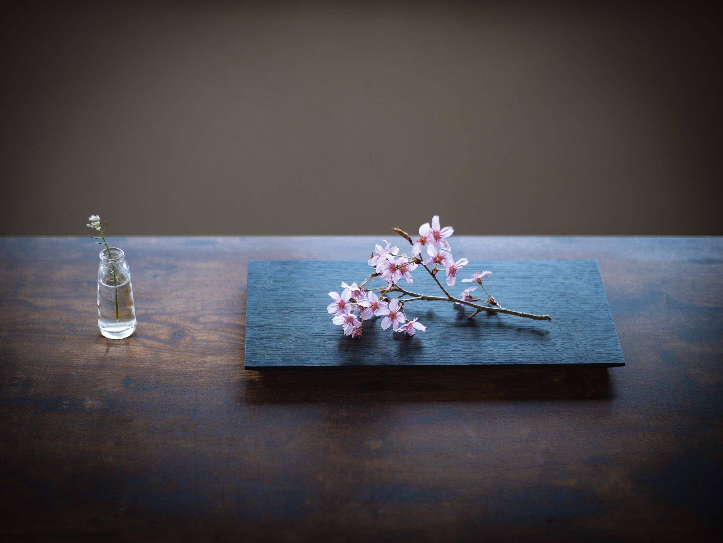 TSUKI-JIRI WOOD PLATE　flat-indigo dyed　ツキジリウッドプレート　フラット＿藍染 - MORIKOUGEI ONLINE STORE