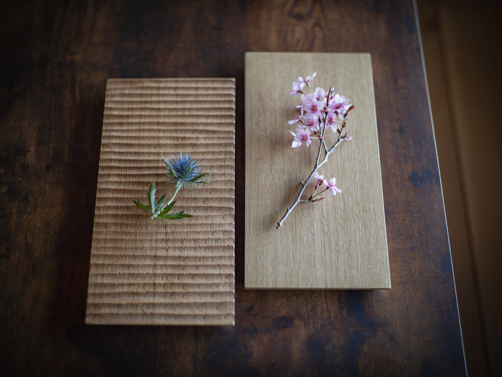 TSUKI-JIRI ウッドプレート フラットタイプ | 森工芸 - 美しい木製食器