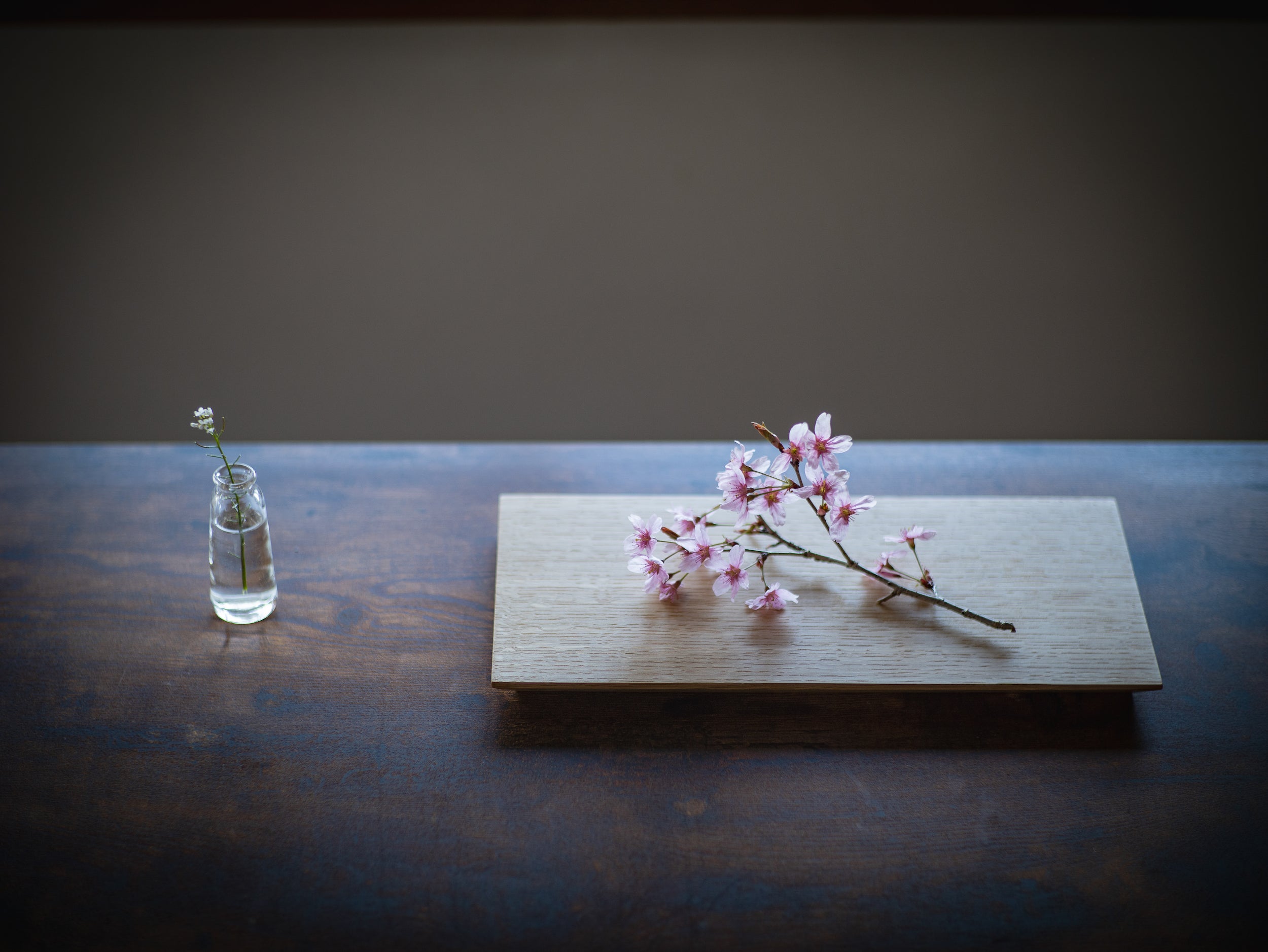 TSUKI-JIRI WOOD PLATE oak-Flat ツキジリウッドプレート オーク＿フラット - MORIKOUGEI ONLINE STORE